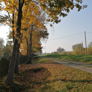 Jesień, fot. Anna Paradowska