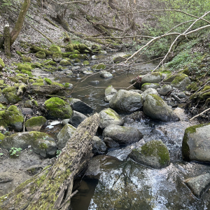 Głazowe wybrzeże, fot. Agnieszka Skidaniuk